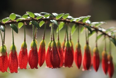 中山石岐私人快速借钱网，轻松解决资金难题