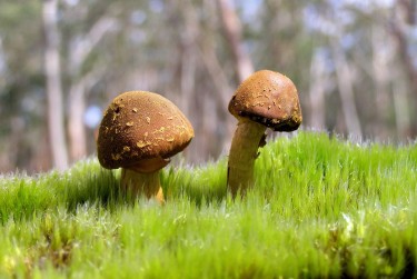 中山石岐私人老板放款：轻松融资的秘密通道